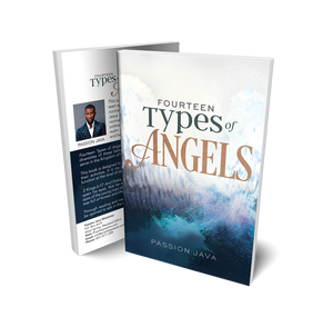 14 Types of Angels Paperback