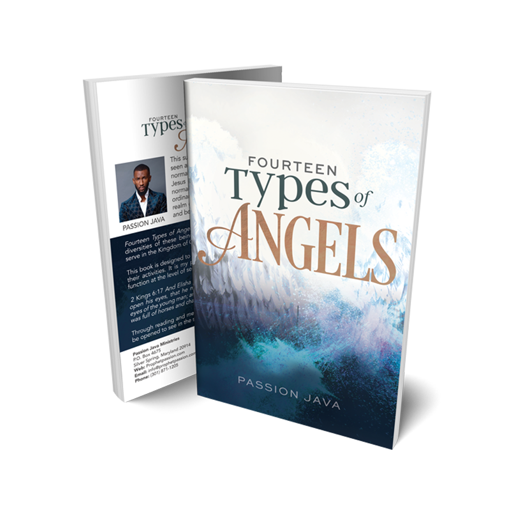 14 Types of Angels Paperback