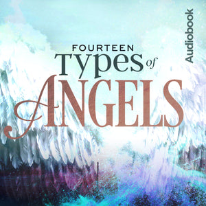 14 Types of Angels Audiobook
