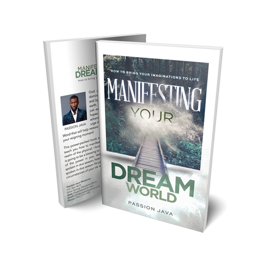 Manifesting Your Dream World   Paperback