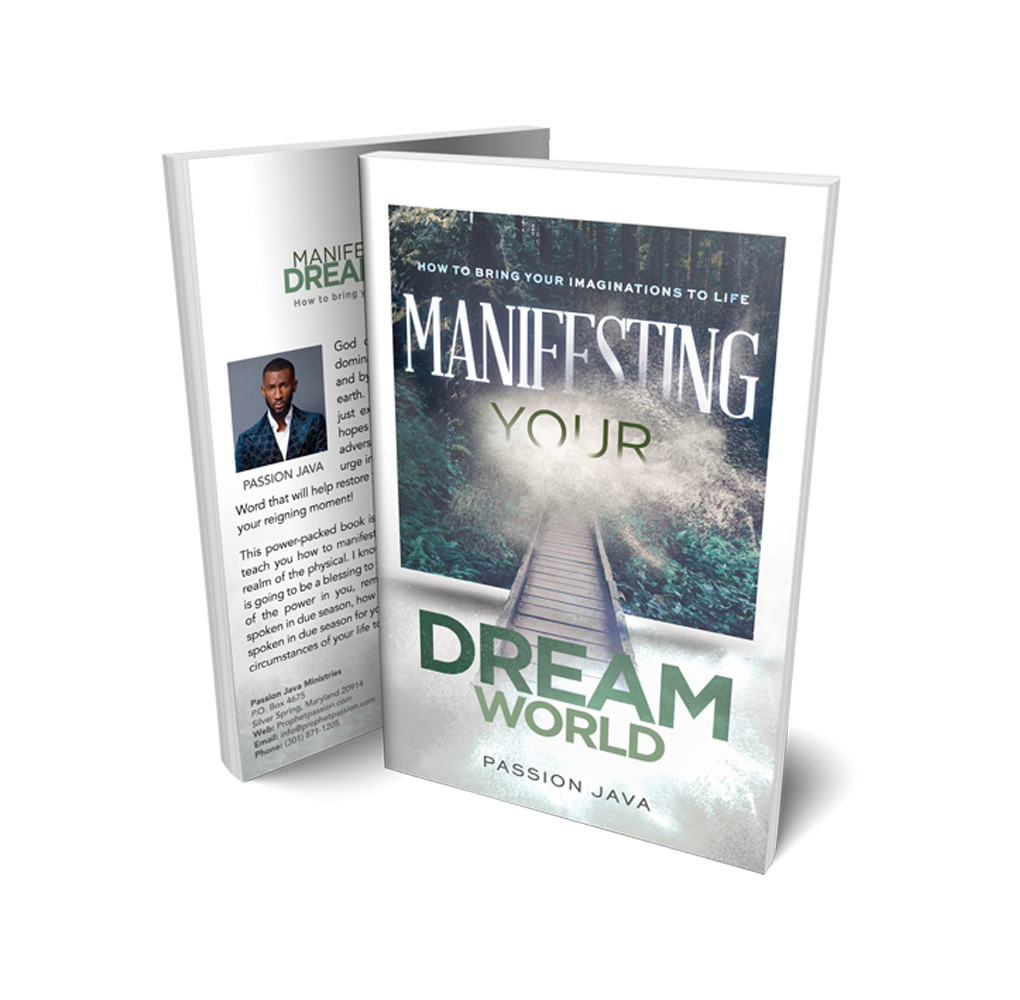 Manifesting Your Dream World   Paperback